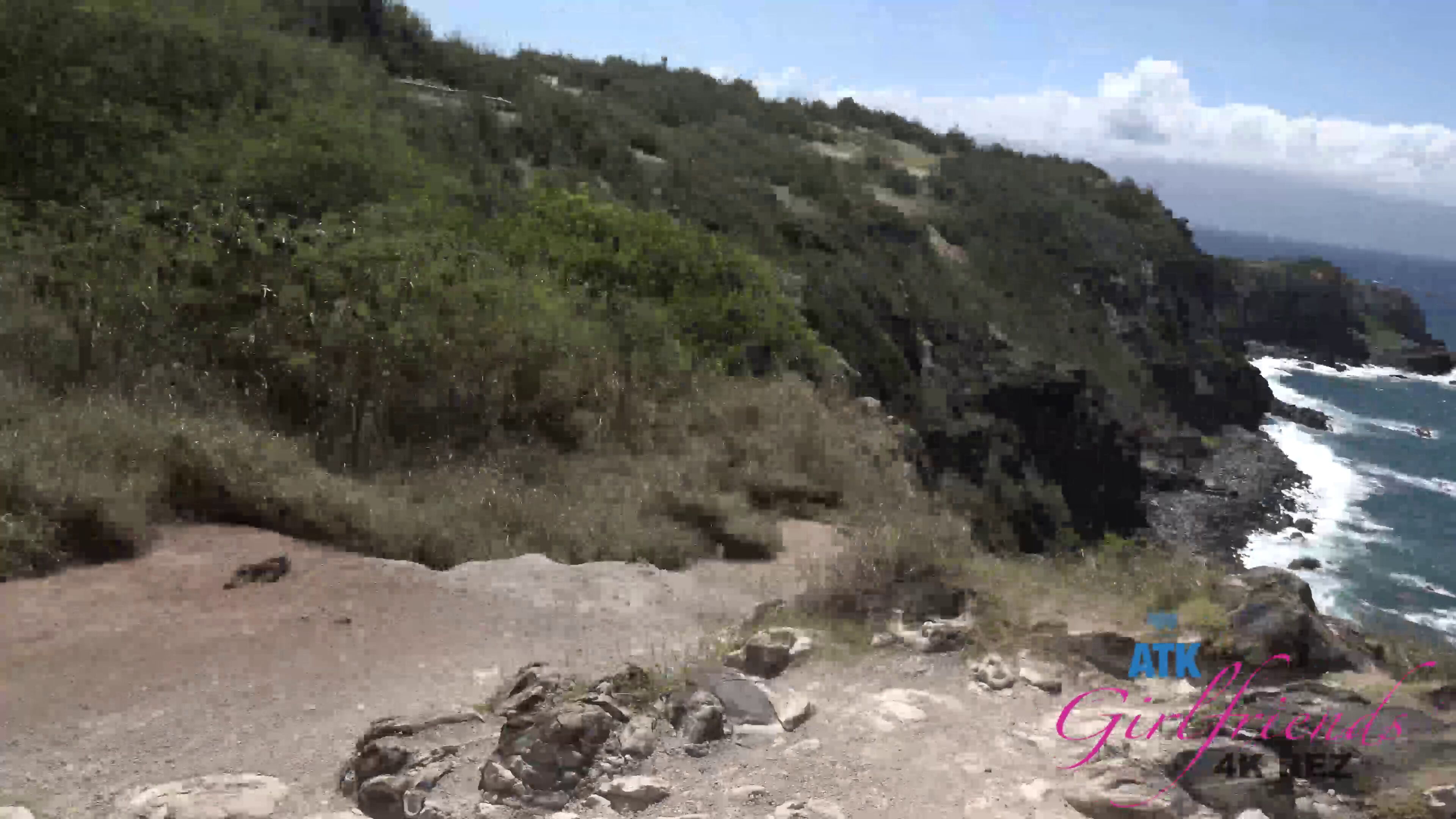 Wild POV Adventure